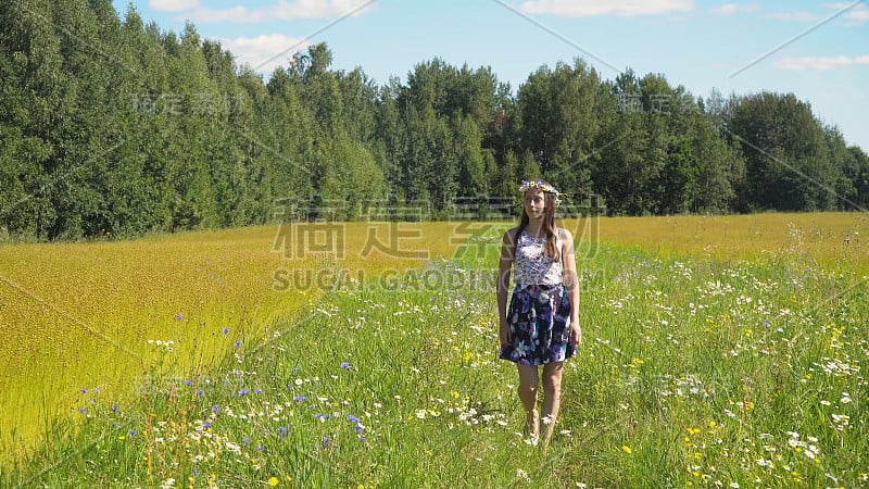 夏日的风景，姑娘，亚麻的田野