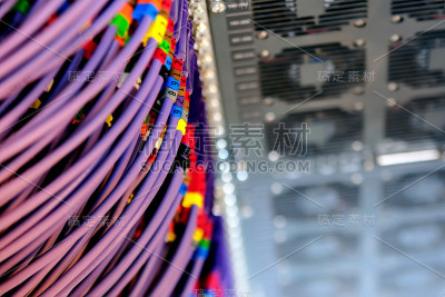 紫丁香网络电线连接到计算机服务器
