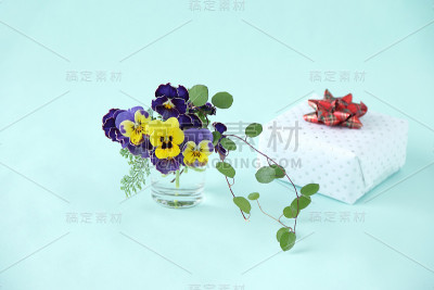 礼物和Viola(花)