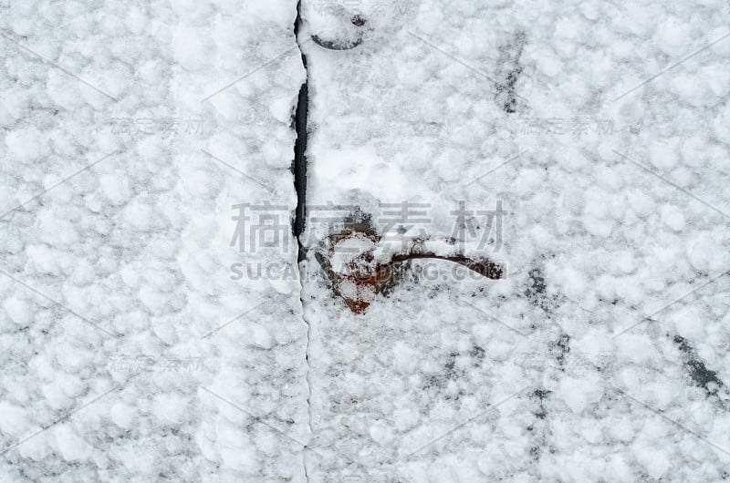 铁门上的湿雪。有选择性的重点。