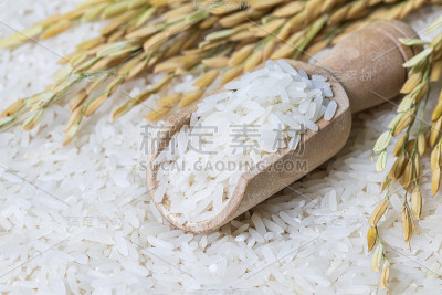 以木勺米饭和稻穗为背景，富含蛋白质的天然食品。