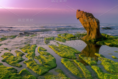 海岸上覆盖着绿色苔藓的海岩