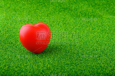 情人节爱的概念或保健:红橡胶心穿上绿草