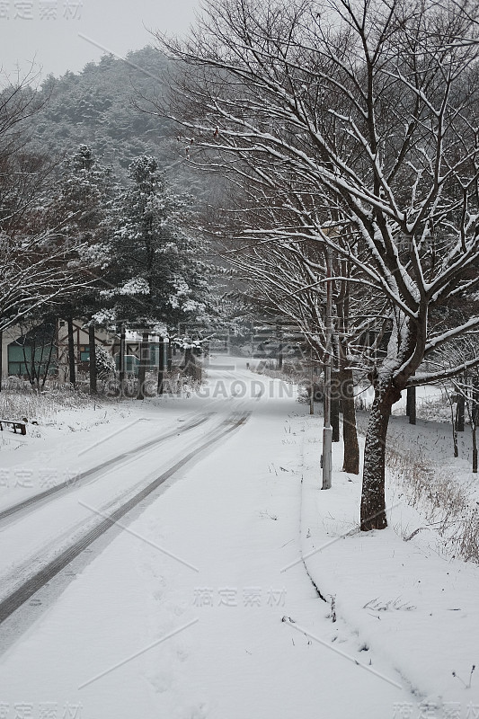 大雪