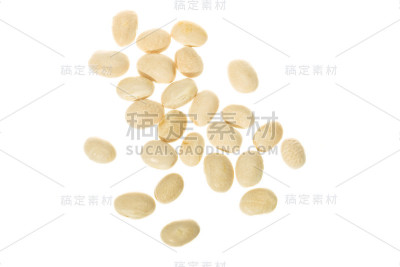 圣塔堡菲索尔白豆