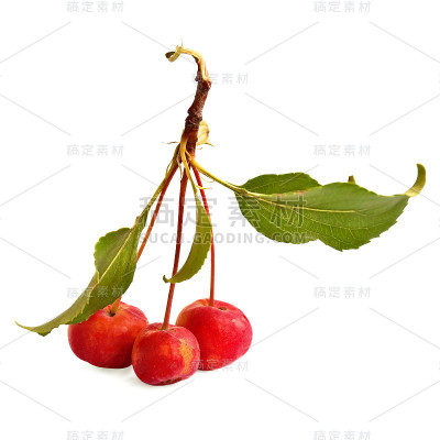 疯狂的苹果