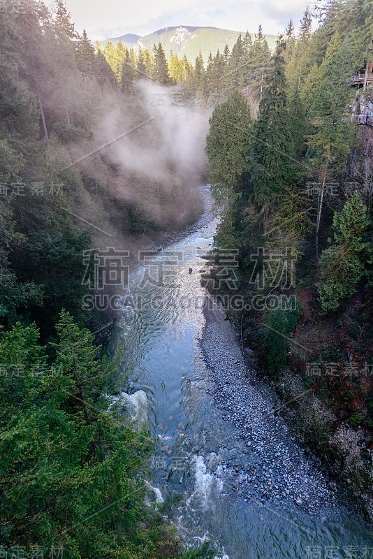 从上面看，在绿色的森林和落基山脉之间的山区河流的粗糙溪流