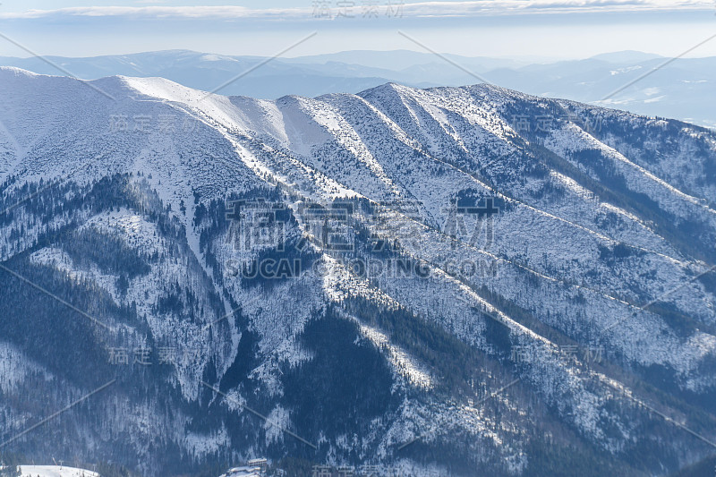 斯洛伐克山坡上白雪覆盖的森林