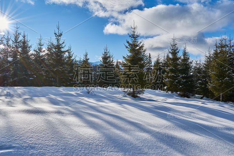 冬季景观从山上有冷杉林，雪和蓝天与白云