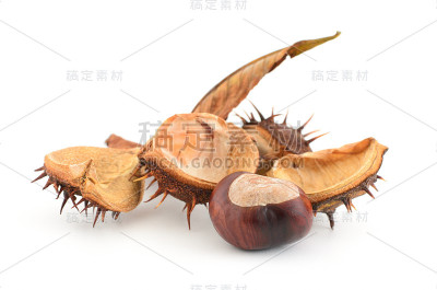 秋天的成分