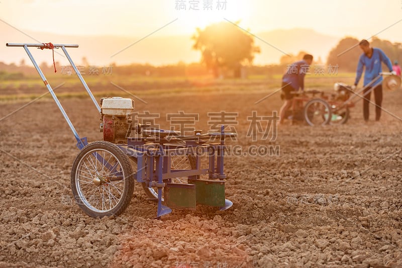 泰国农民在土地上工作，用机器在土壤上挖洞，为泰国的烟草生长季节准备土壤