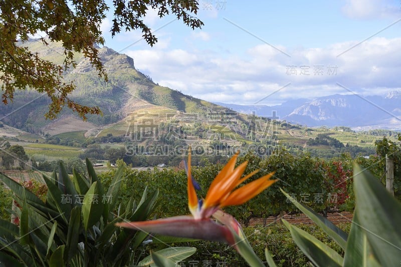 位于Stellenbosch和Franschhoek之间的南非葡萄酒产区