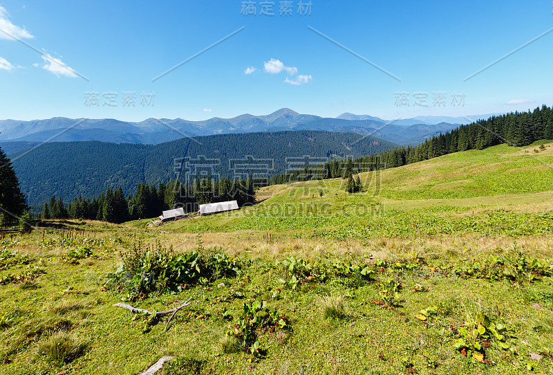 夏季山景(喀尔巴阡，乌克兰)。