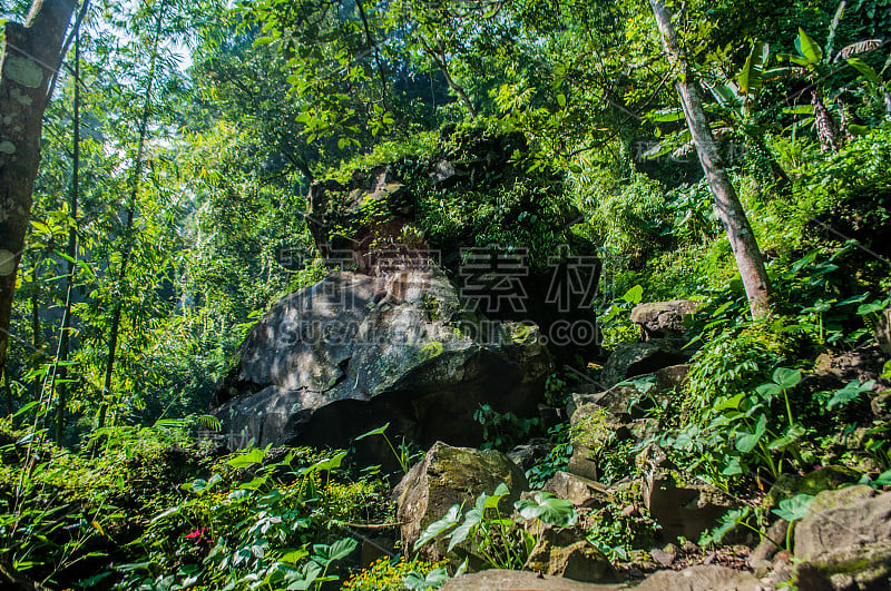 科班仓古遗址的风景