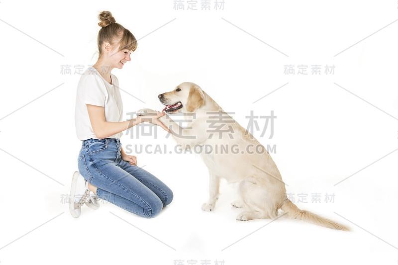 漂亮的少女和她美丽的金毛猎犬在白色的背景