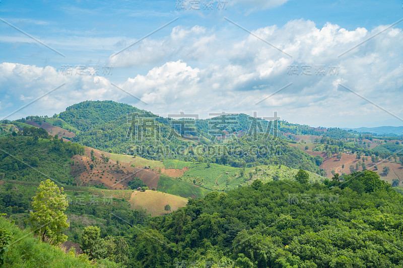 鸟瞰图的森林树木和绿色的山小山。自然景观背景，泰国。