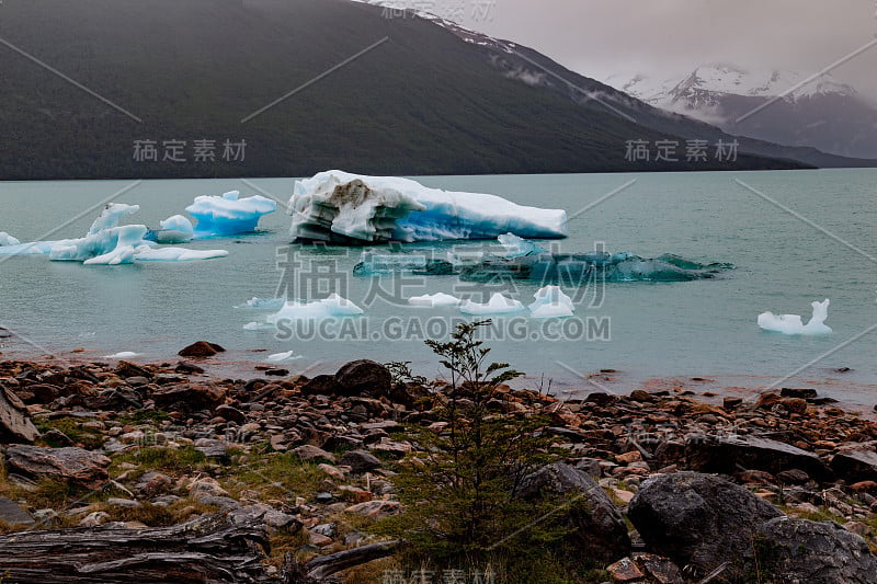 冰山在佩里托莫雷诺埃尔卡拉法特阿根廷