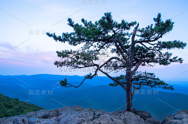 乌鸦窝的日出