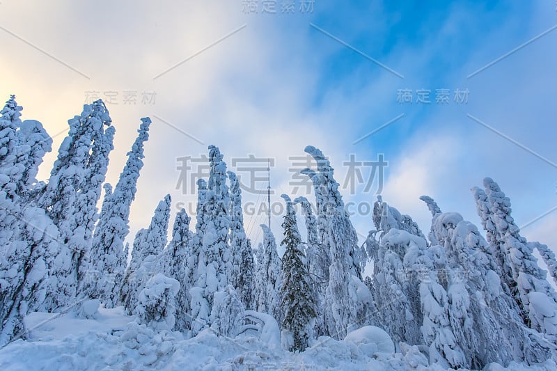 来自芬兰索特卡莫的大雪景观。