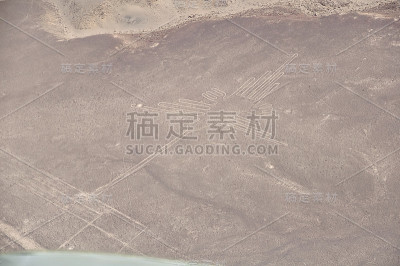 纳斯卡线条