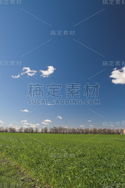 农场的观点