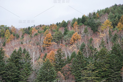 秋天的风景