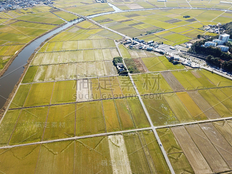 日本的乡村风光