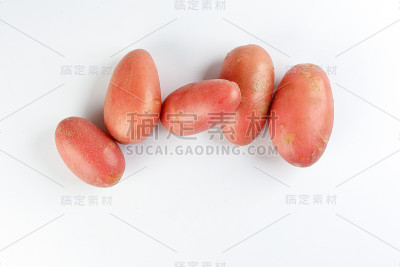 白色背景上的小土豆