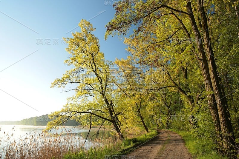 清晨的春景