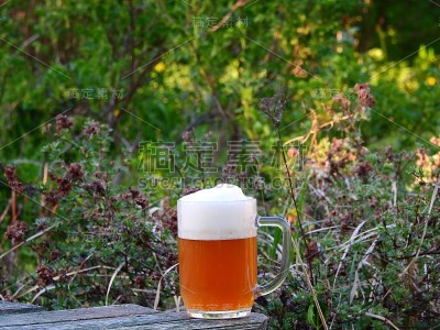 春天花园里的啤酒杯