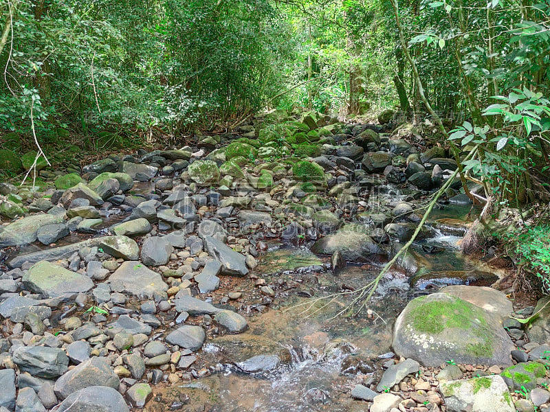 在西尔韦拉·马丁斯市山区流动的淡水河道