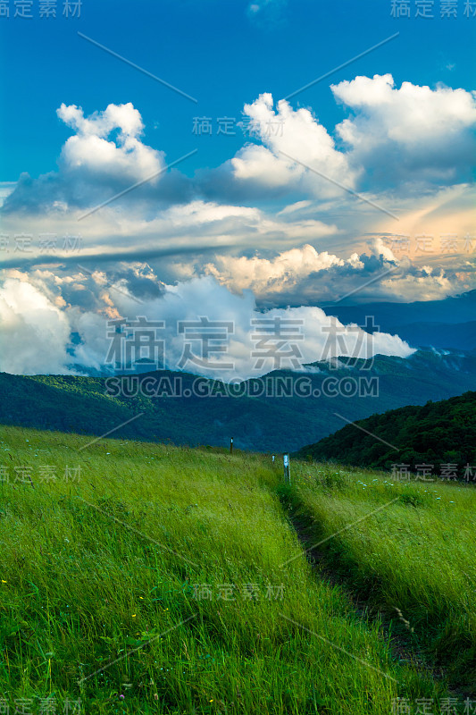 马克斯·帕奇的大烟山