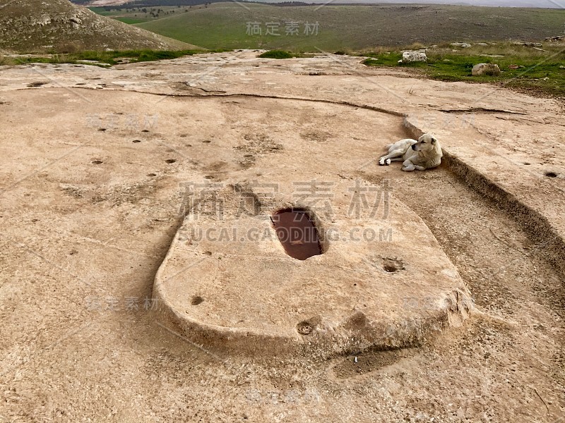 Göbeklitepe Örencik村联合国教科文组织世界遗产方尖碑动物图案Şanlıurfa的第