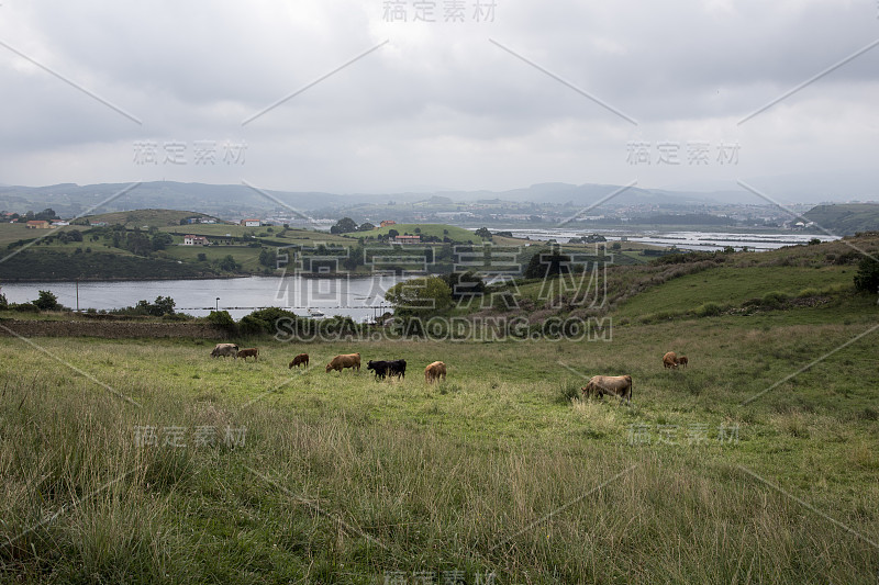 西班牙坎塔布里亚的Suances美丽的风景