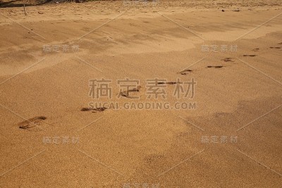 日落时沙滩上的脚印，果阿