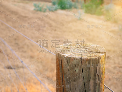 木桩和铁丝栅栏