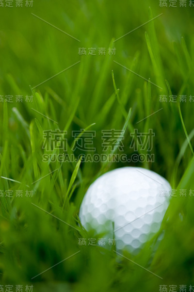 高尔夫球在粗糙区
