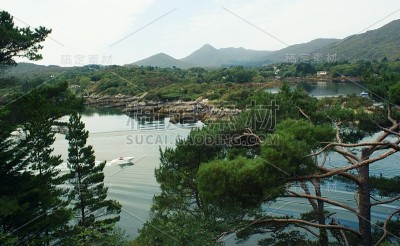 从装饰岛上的花园眺望大海，爱尔兰