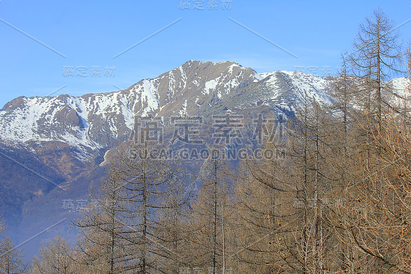 在冬天，树木和山脉的全景