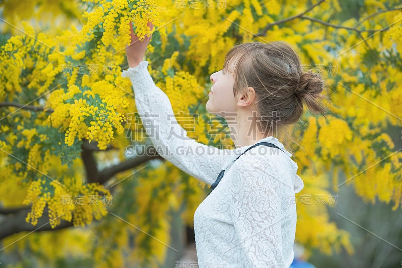 一个看含羞草开花的女人