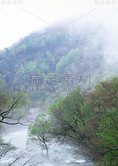 洪流