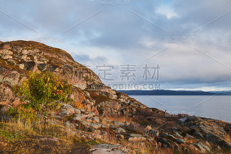 美丽的夏日景观抛弃艺术自然海防北捷里别尔卡，巴伦支海景。