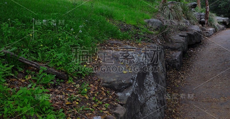 悉尼植物园郁郁葱葱的树木和参差的岩石，绿色的草，蓝天白云在一个美好的阳光明媚的夏天早晨