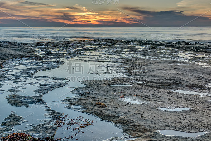 Diverse Beauty Graces the California Coast