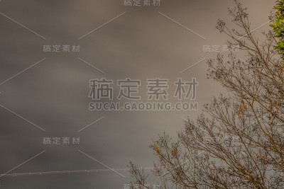 咖啡厅吃饭