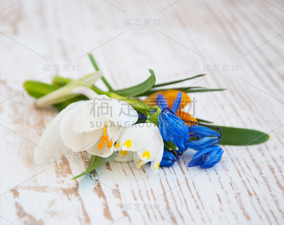 春天的花