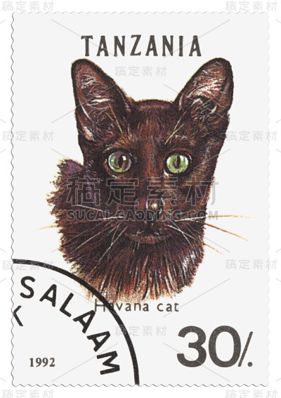 猫邮票