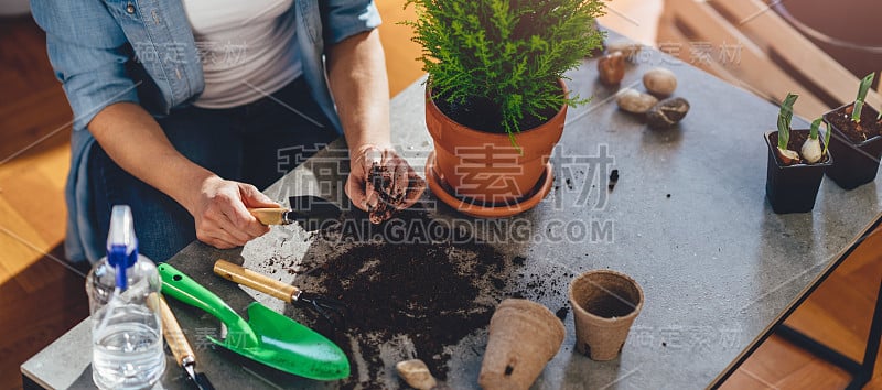 一个女人照顾植物的高角度视图。