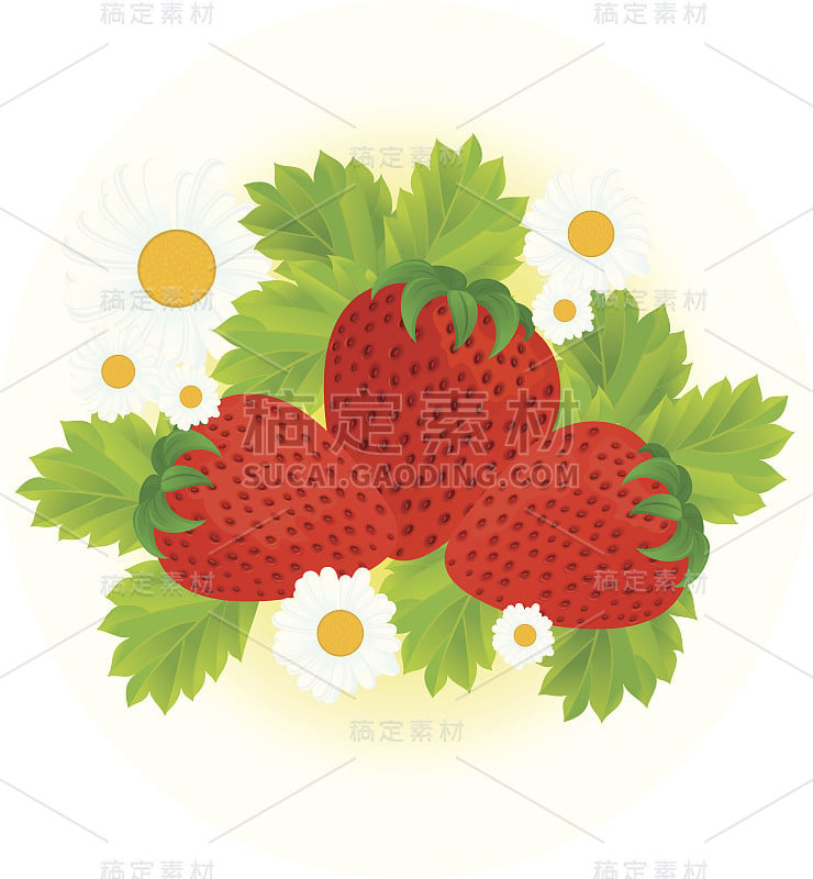 Strawberries-and-daisy-flowers