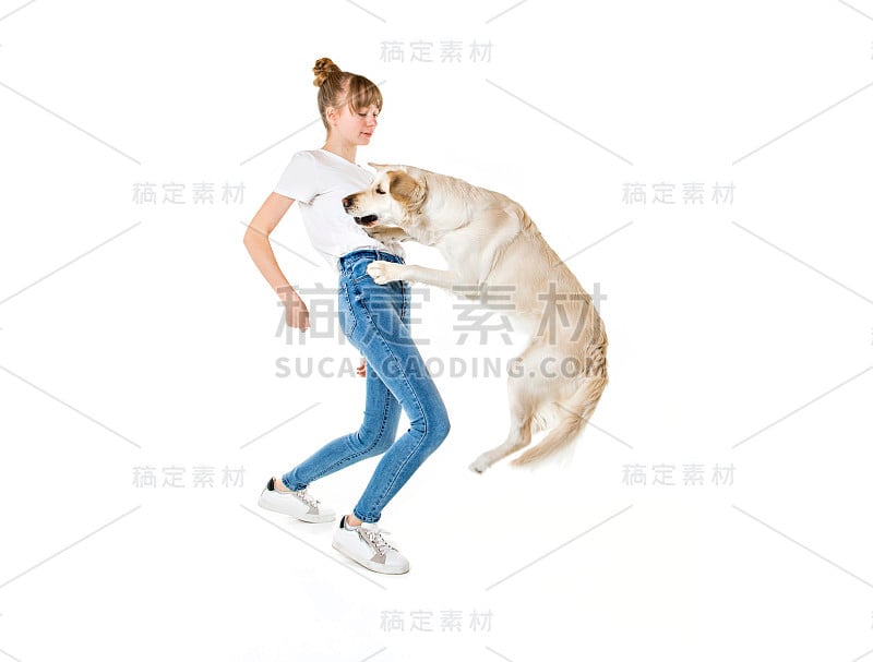 漂亮的少女和她美丽的金毛猎犬在白色的背景